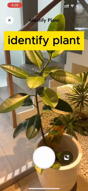 原價 $99.99，終生版限時免費 iOS APP – Plant Recognition & identifier 植物照護小幫手