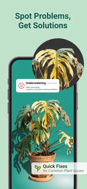 原價 $99.99，終生版限時免費 iOS APP – Plant Recognition & identifier 植物照護小幫手