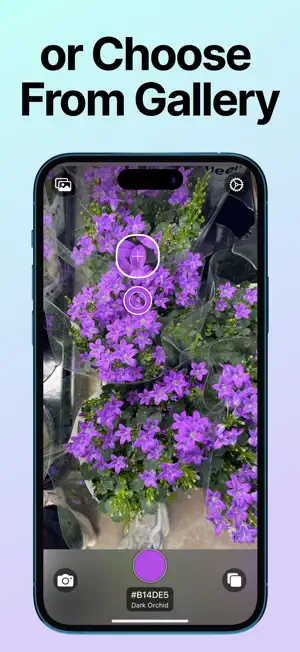 colorid-color-identifier-03