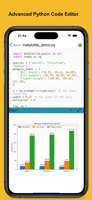 python-coding-pro-python-3-01